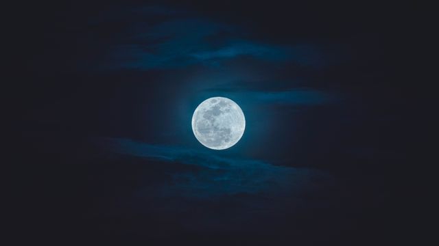 Navi/Unsplash