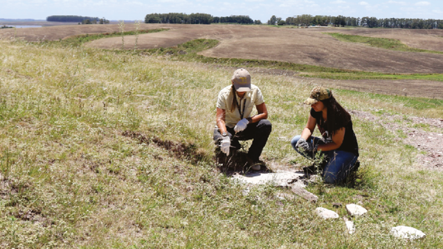Ferraz et al./Paleontologia em Destaque