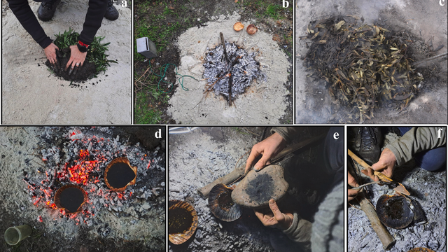  Ochando et al, 2024/Quaternary Science