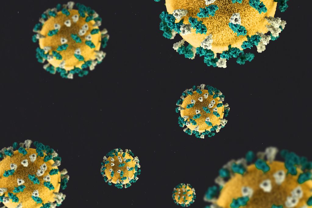 Nova variante do coronavírus atinge 11 estados brasileiros e apresenta a mesma mutação que as variantes do Reino Unido, Manaus e África do Sul (Imagem: tang/rawpixel)