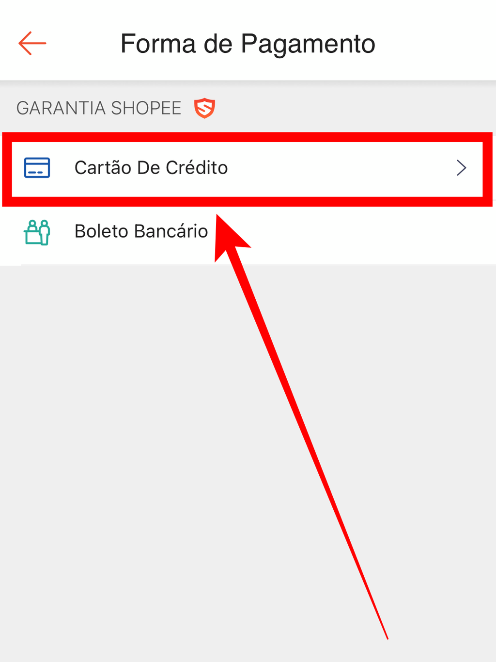 Escolha a opção "Cartão de Crédito" para abrir as opções de parcelamento (Captura de tela: Caio Carvalho/Canaltech)