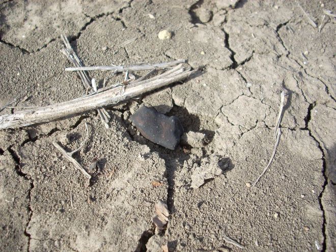 Meteorito coletado em 2009, no Texas (Imagem: Reprodução/Geoffrey Notkin)
