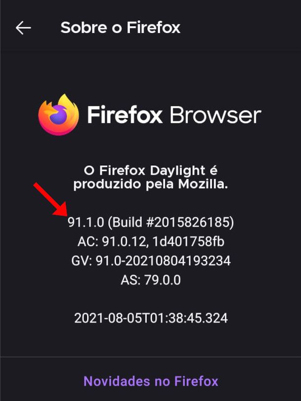 Feito isso, você poderá saber qual versão do Firefox você está usando (Captura de tela: Matheus Bigogno)
