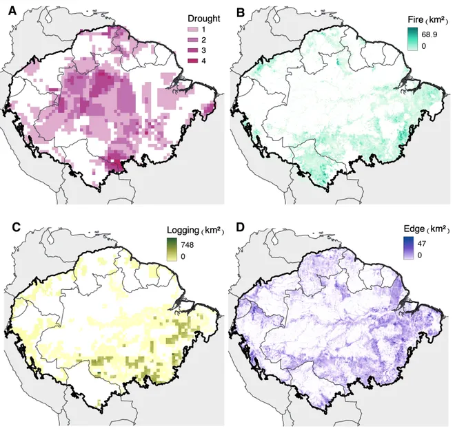 Distribuição e intensidade de secas, incêndios, cortes seletivos e efeito de borda — os quatro fatores de degradação na Amazônia (Imagem: Lapola et al./Science/Reprodução)