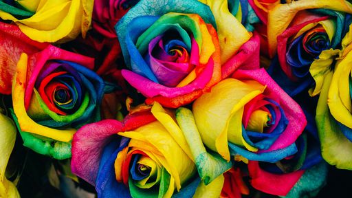 Frutas, plantas e até insetos! Saiba a origem dos nomes das cores