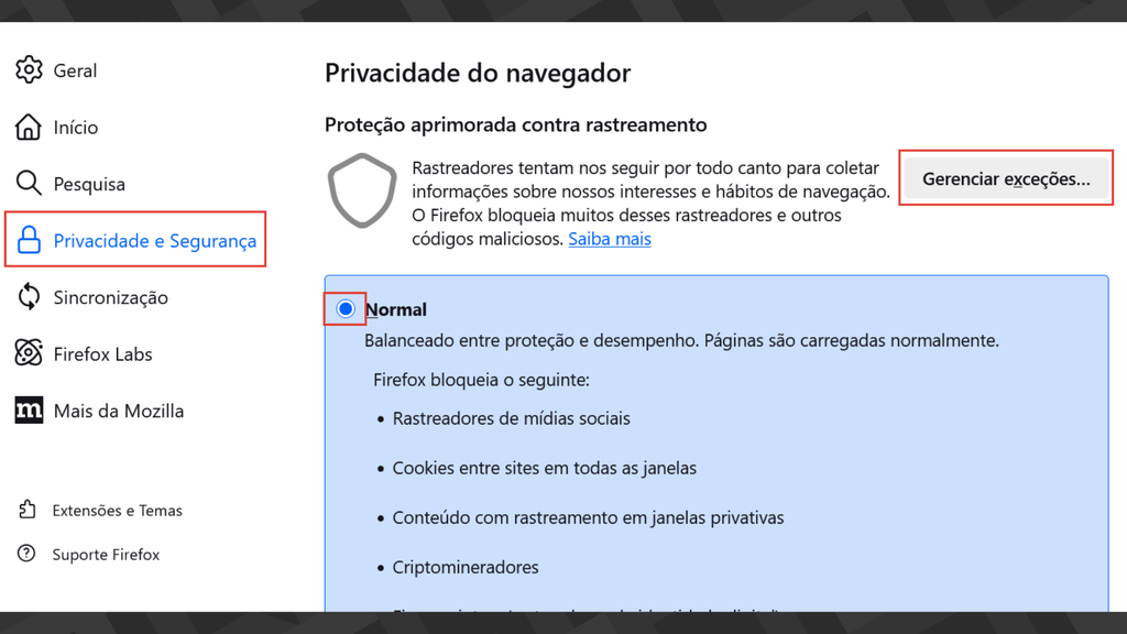Captura das configurações de privacidade e segurança