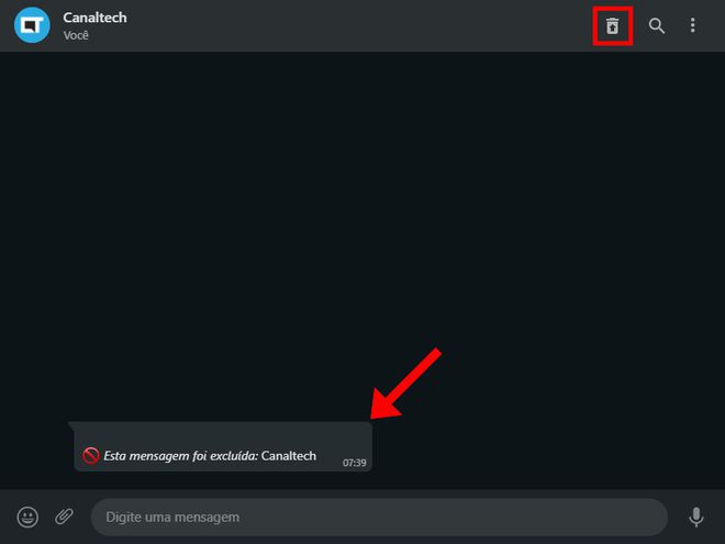 Clique no ícone de "Lixeira" para restaurar as mensagens excluídas (Captura de tela: Matheus Bigogno)