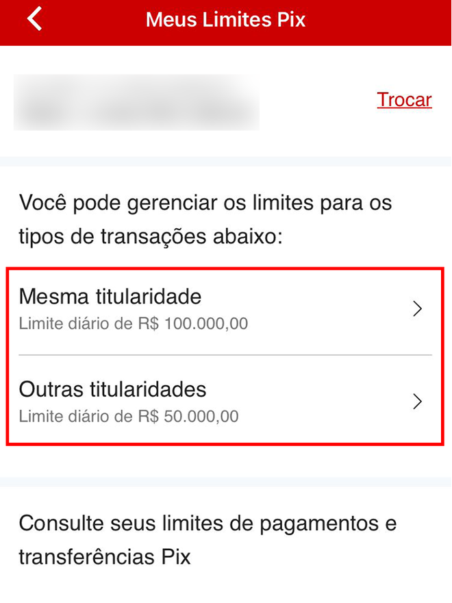 Escolha uma categoria para alterar o limite (Imagem: André Magalhães/Captura de tela)