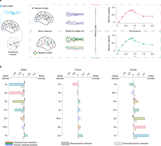 Esquema da capacidade de codificação das redes neurais neuromórficas (Imagem: Reprodução/Mcgill University)
