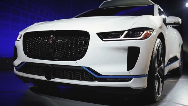 Jaguar