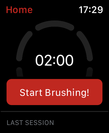 Basta tocar em "Start Brushing!" no Apple Watch e iniciar a escovação dos dentes - Captura de tela: Thiago Furquim (Canaltech)