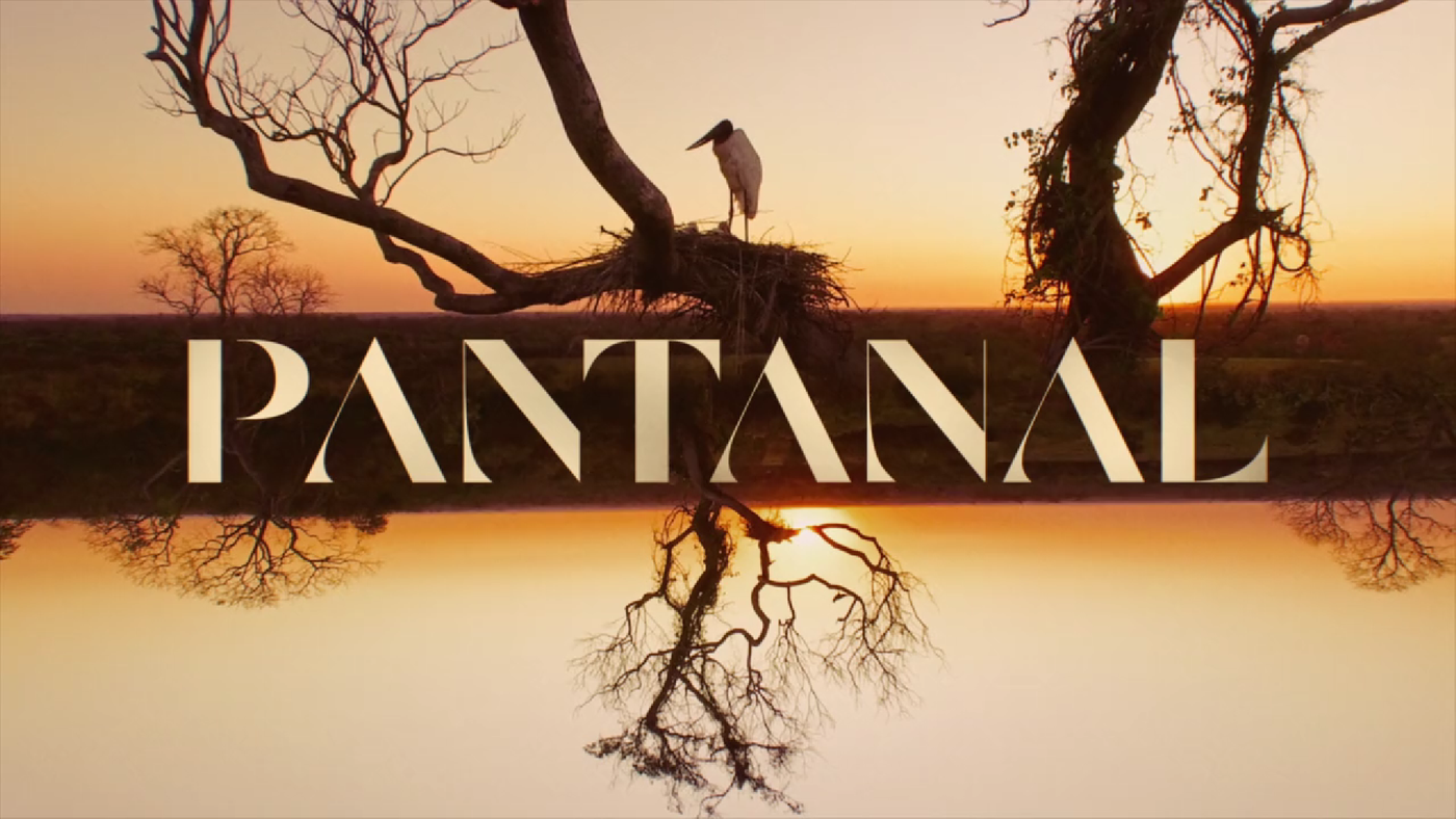 Como ver Pantanal no Globoplay sem ter TV 8K - Canaltech
