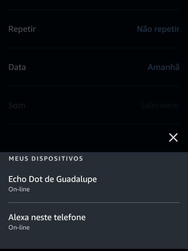 Defina em qual aparelho o alarme será configurado (Imagem: Guadalupe Carniel/Captura de tela)