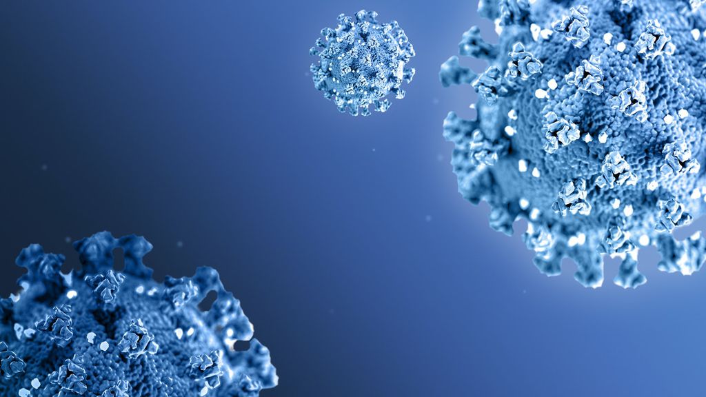 Pesquisadores da USP apontam que os macrófagos estão relacionados à gravidade da infecção pelo coronavírus (Imagem: Reprodução/ Hwang Mangjoo/ Rawpixel)