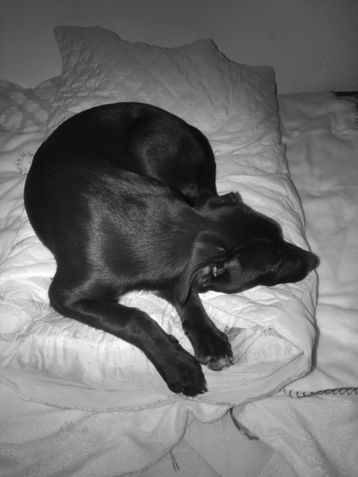 Modo Night Vision