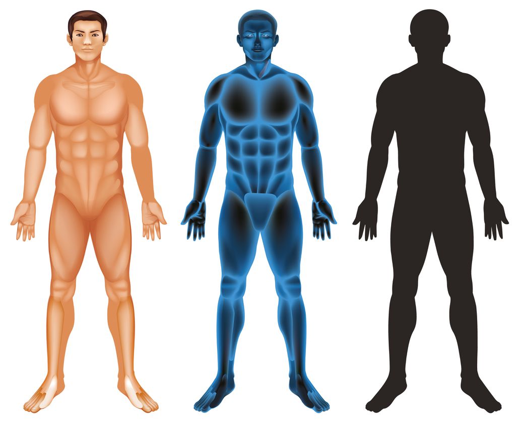 Os 7 maiores mistérios do corpo humano