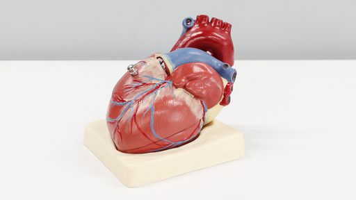 Esta startup brasileira tem o sonho de criar órgãos usando bioimpressoras 3D