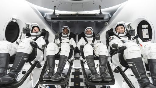 A Força está com a Crew-1: astronautas levaram boneco do Bebê Yoda na espaçonave