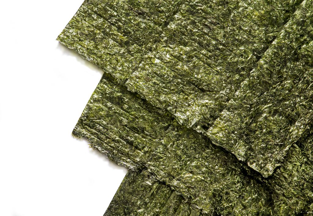 Folhas artificiais feitas de algas podem gerar energia (Imagem: Reprodução/Envato)
