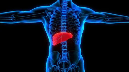 O que é hepatite e quais as diferenças entre os tipos?
