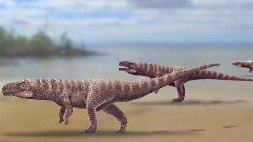 Pegadas fossilizadas: crocodilos bípedes viveram na Terra há 120 bilhões de anos