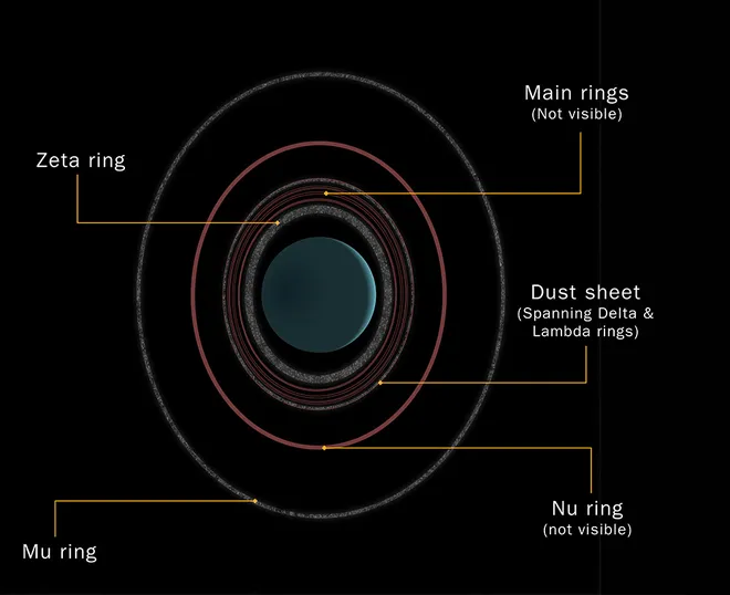 Esquema do sistema de anéis de Urano (Imagem: Reprodução/Ian Regan)