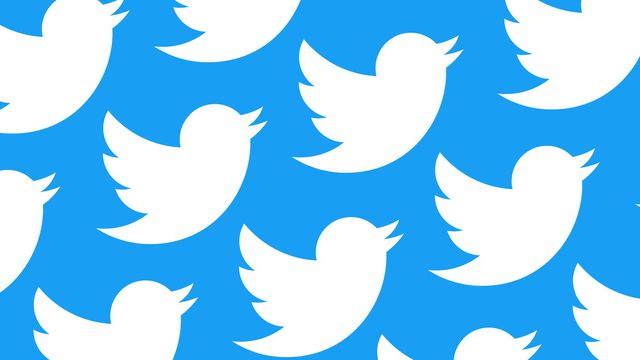 Twitter informa: número de seguidores pode ser impactado após remoção de contas