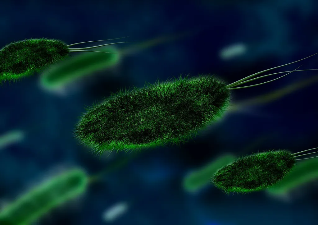 Sem inovação na pesquisa de novos antibióticos, superbactérias se disseminam (Imagem: Gerd Altmann/Pixabay)