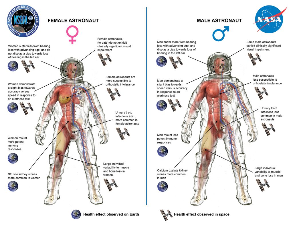 A imagem mostra efeitos que astronautas homens e mulheres podem sentir durante e depois de viagens espaciais (Imagem: NASA)