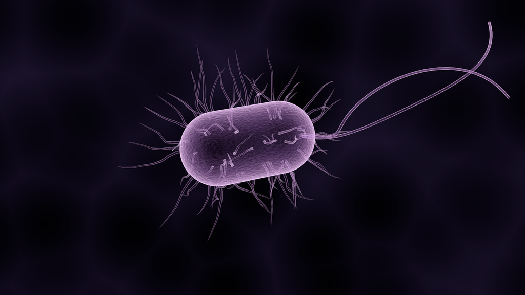 Pesquisa mesca vírus com antibióticos para conter as superbactérias (Imagem: Reprodução/Raman Oza/Pixabay)