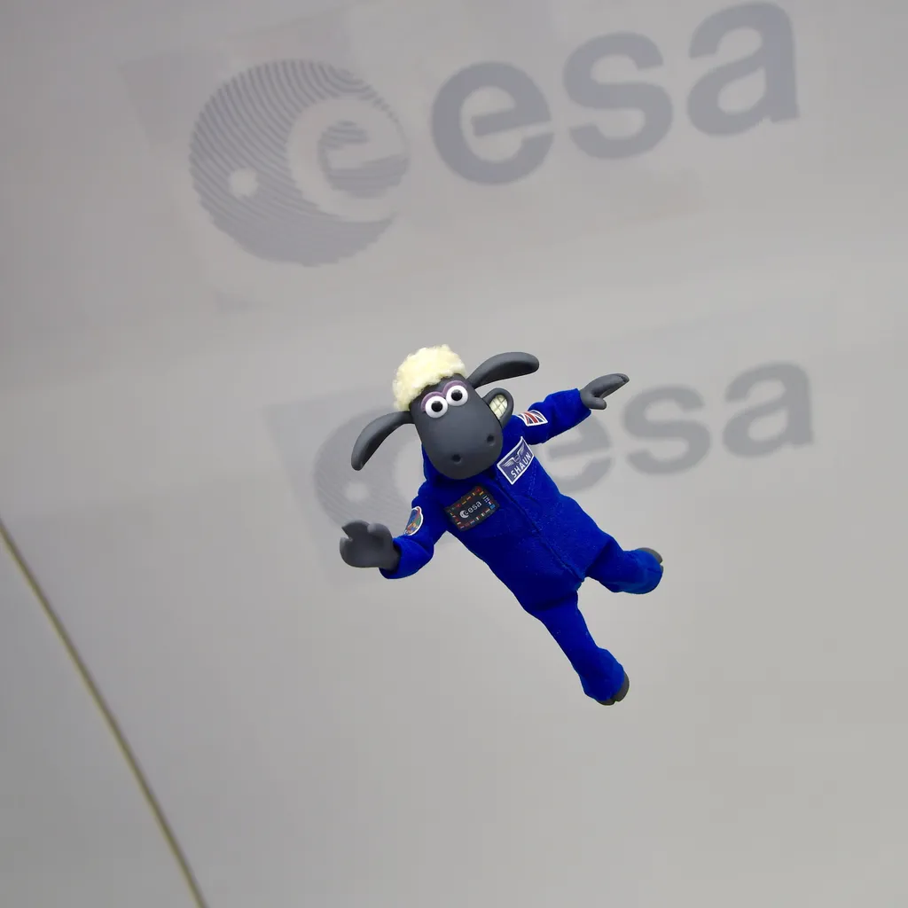 Boneco de Shaun durante um voo parabólico a bordo do avião A310, da Airbus (Imagem: Reprodução/ESA/Aardman)