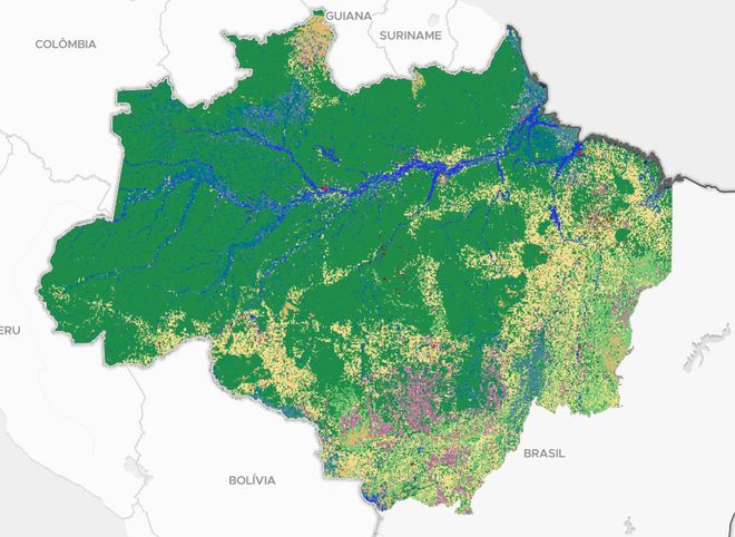 Infográfico MapBiomas