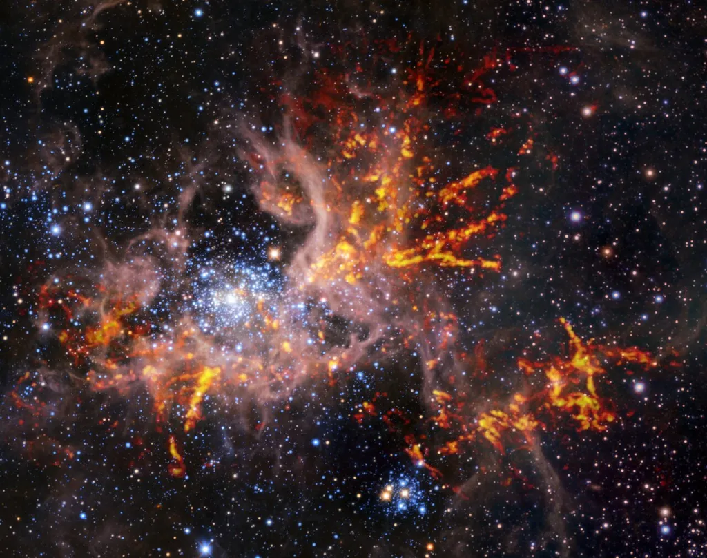 Nebulosa da Tarântula em imagem composta, com dados de luz infravermelha e de rádio (Imagem: Reprodução/ESO, ALMA (ESO/NAOJ/NRAO)/Wong et al., ESO/M.-R. Cioni/VISTA Magellanic Cloud survey/Cambridge Astronomical Survey Unit)