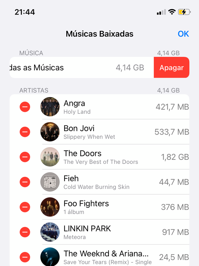Apague todas as músicas baixadas no dispositivo - Captura de tela: Thiago Furquim (Canaltech)