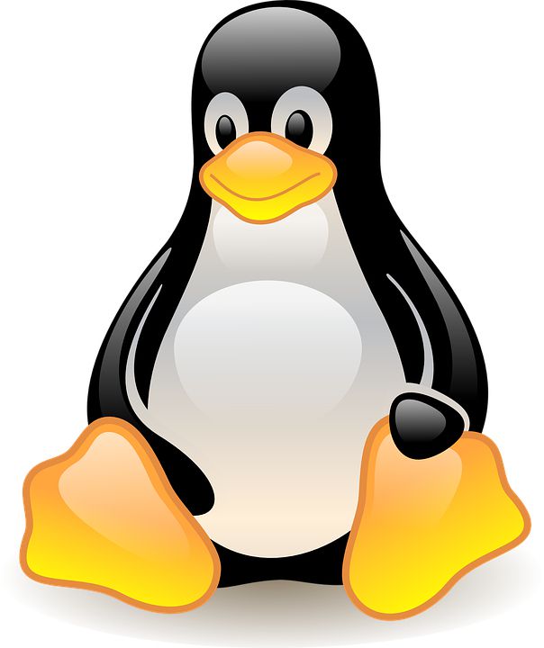 Tux é o mascote do Linux (Imagem: Reprodução/Linux Foundation)