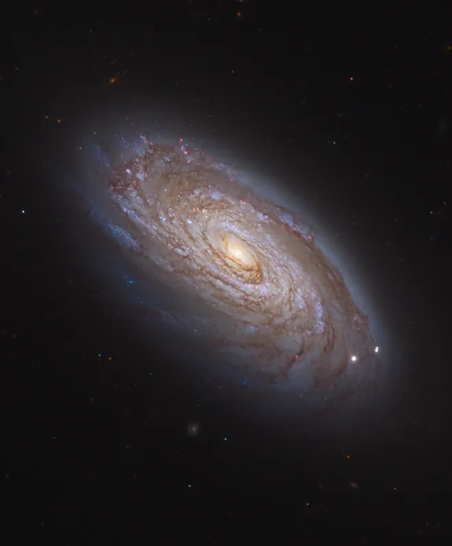 A galáxia M88 e seus diversos braços espirais (Imagem: Reprodução/Adam Block/Mt. Lemmon SkyCenter/U. Arizona)