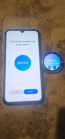 Galaxy Watch 8 Classic