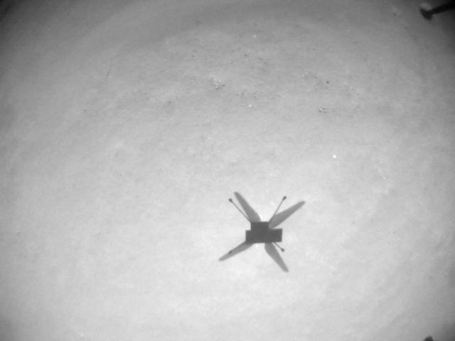 Sombra do Ingenuity durante seu 15º voo (Imagem: Reprodução/NASAJPL/Twitter)