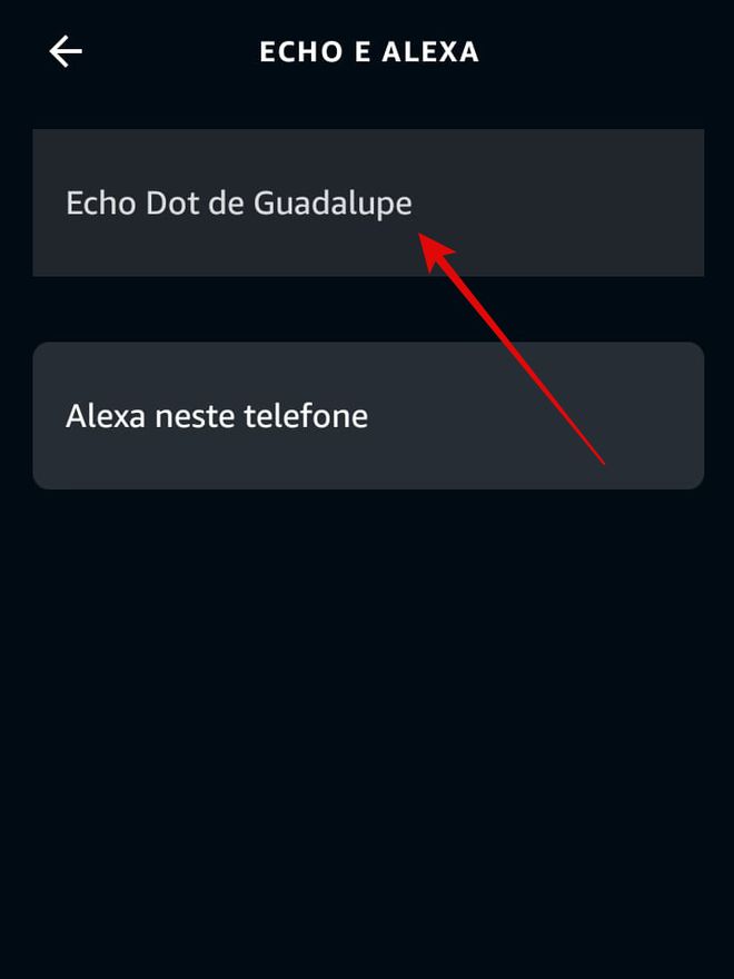 Selecione o seu dispotivo (Imagem: Guadalupe Carniel/Captura de tela)