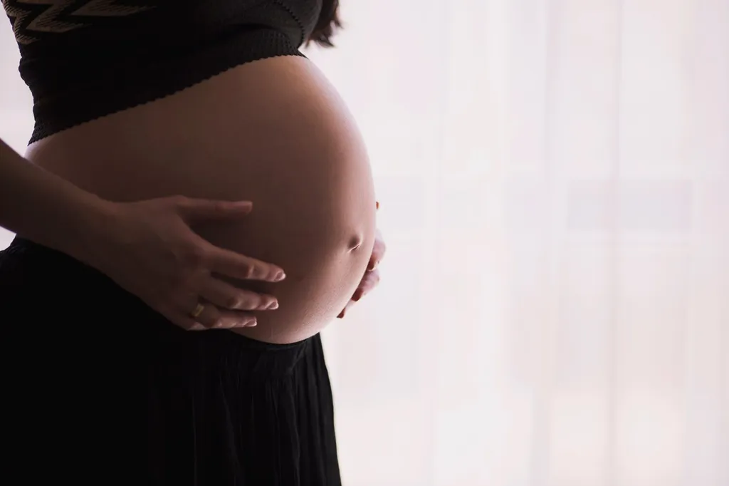 Mulheres que estão grávidas ou amamentando não podem doar sangue temporariamente (Imagem: Freestocks/Pexels)