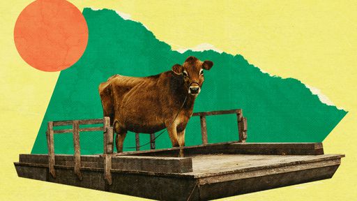 Crítica | First Cow é um road movie estático e dolorido