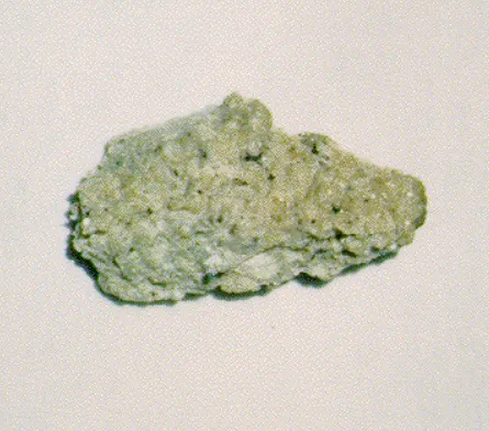 Fragmento do meteorito de Chassigny (Imagem: Reprodução/Ron Baalke)