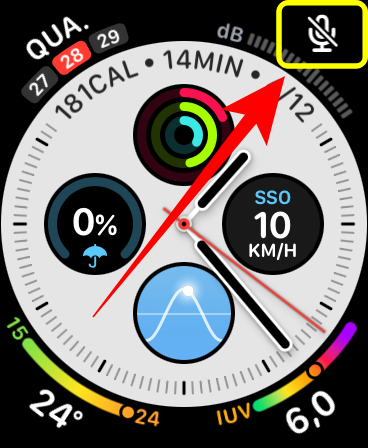 O ícone da complicação do app Ruído indica medição suspensa. Captura de tela: Lucas Wetten (Canaltech)