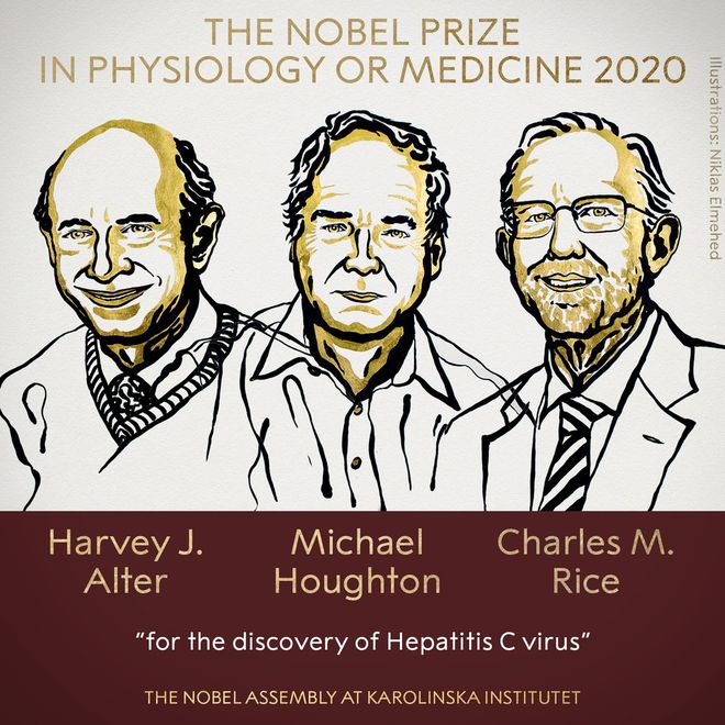 Grupo de pesquisadores que investigaram o vírus da hepatite C conquistam Prêmio Nobel (Imagem: Reprodução/ Prêmio Nobel)