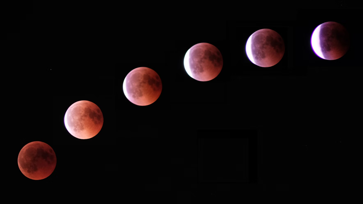 Eclipse lunar: como Colombo usou a Lua de Sangue para salvar sua tripulação