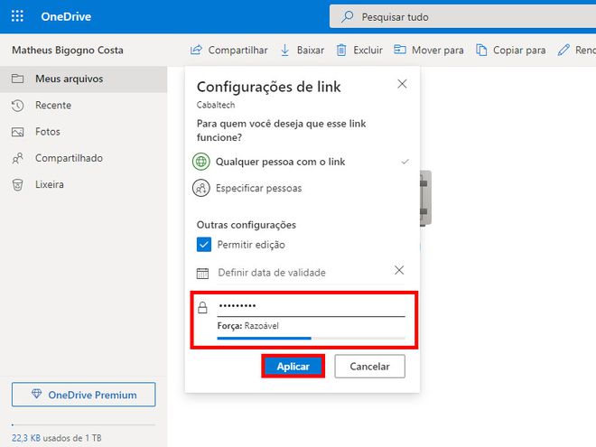 Insira a senha para acessar o arquivo no local indicado e clique em "Aplicar" (Captura de tela: Matheus Bigogno)
