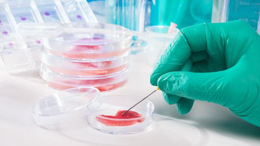 Carne é cultivada no espaço pela primeira vez na história