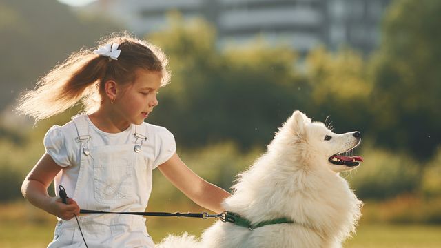 mstandret/envato