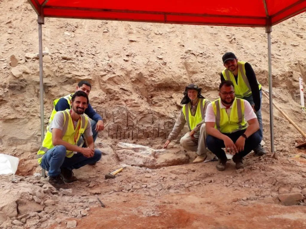 Equipe responsável pela escavação: procedimento demorou cerca de 10 horas (Imagem: William Nava/Divulgação)