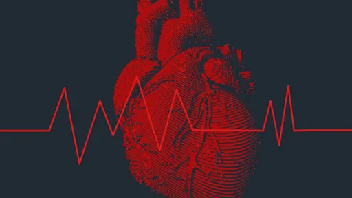 Cientistas descobrem nova célula no coração que regula frequência cardíaca 